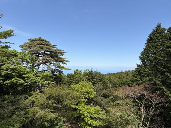 【展望】 | 天城高原別荘地　戸建