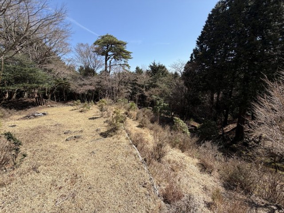 【庭】 | 天城高原別荘地　戸建