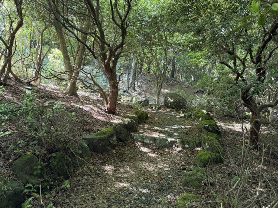 【エントランス】 | 天城高原別荘地　戸建