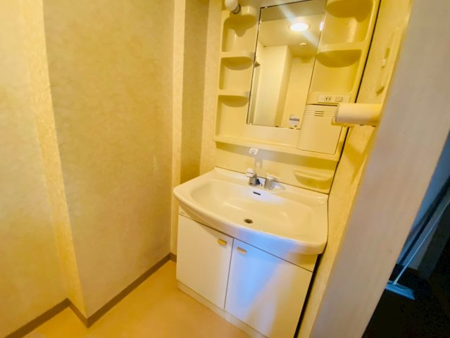 グレージュ和光弐番館の独立洗面台