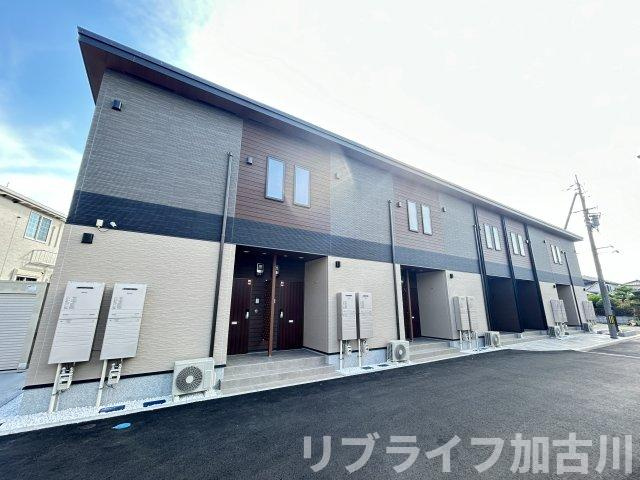 パイン　フォレスト
