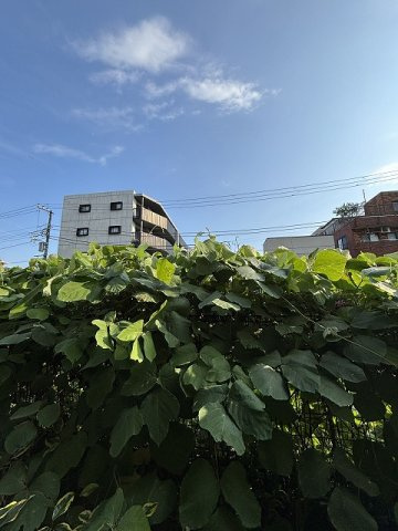 【物件からの展望】