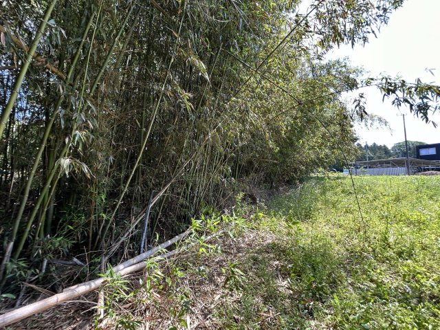 柏田町土地の外観|外観