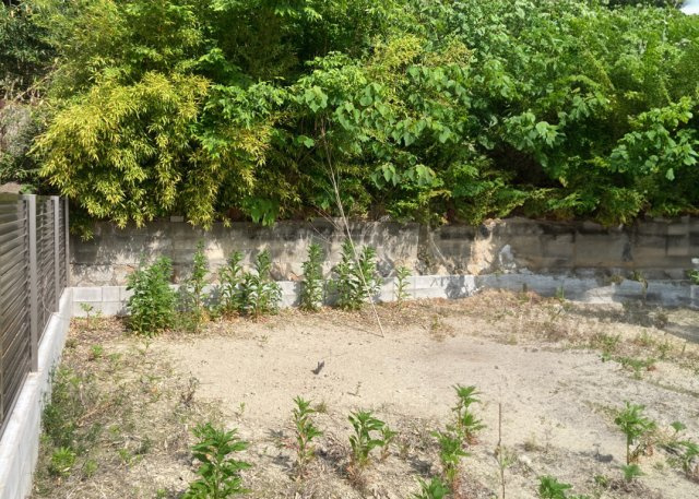 【建築条件なし】禁野本町2区画のその他|（A号地）敷地写真。敷地はフラットなため、建築のための費用が抑えられます。