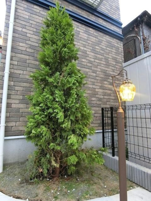 【その他】 | ハーミットクラブハウス千歳船橋
