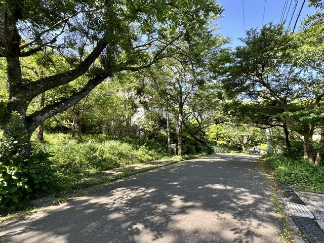 函南町　南箱根ダイヤランドの前面道路含む現地写真