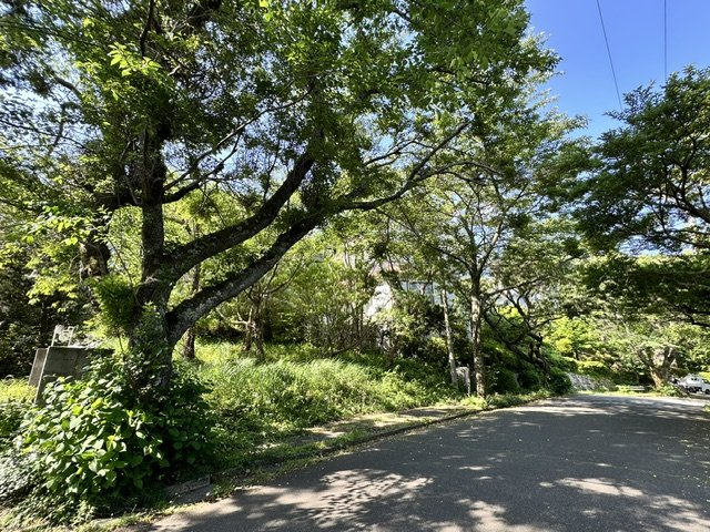 函南町　南箱根ダイヤランドの前面道路含む現地写真|広々とした両面道路に面した陽当りの良い土地です。