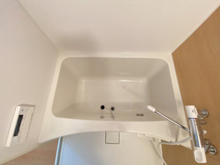 ベルリードクプル仁川の浴室