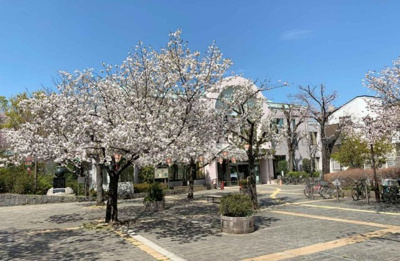 【周辺】 | 豊島区上池袋3丁目　新築戸建　11980万円 | 上池袋さくら公園