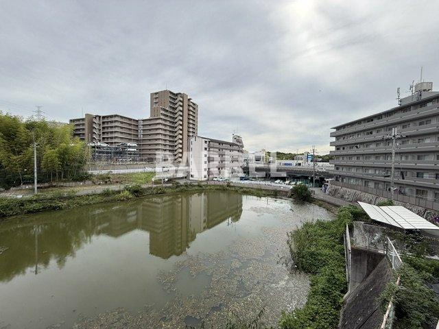 K緑地の展望