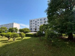 【外観】 | 【HP限定公開】多摩川住宅ハ-7号棟