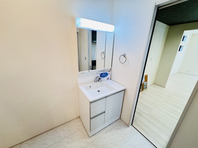 柏市酒井根７丁目新築戸建の独立洗面台|シャワーヘッド付き三面鏡洗面化粧台