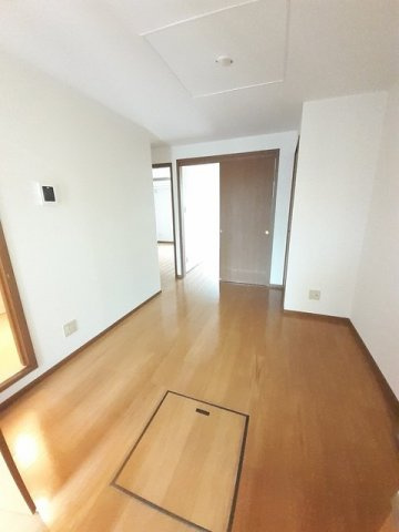 トゥルーランド錦Ｂのその他