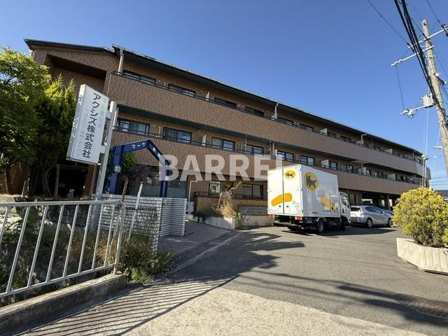 マーサ南野