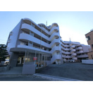ブルームライフ市川
