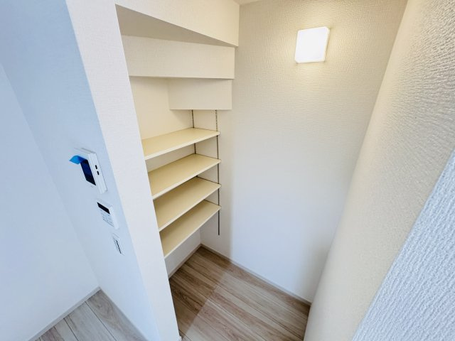柏市高田新築戸建【柏第四小学校:5分】の収納|キッチン横・パントリースペース