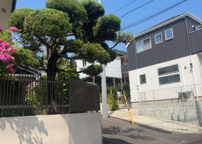 【展望】 | 眺望を気にして物件を探す場合、前面に建物が建っていないか現地で確認しましょう！前面に建物があると景色はもちろん、日当たりや風通しにも影響が出てきます。住んだ時のことを想像しながら現地見学をしましょう。