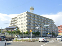 エンゼルハイム戸塚５０５号室の画像