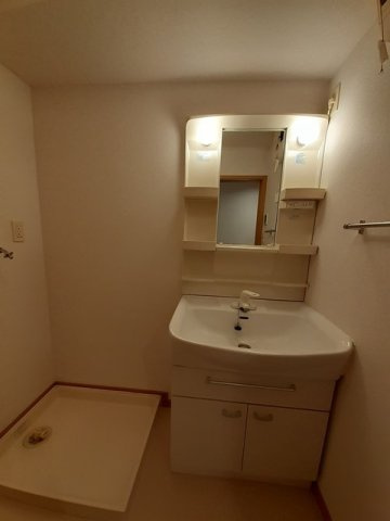 シャルマンの洗面所