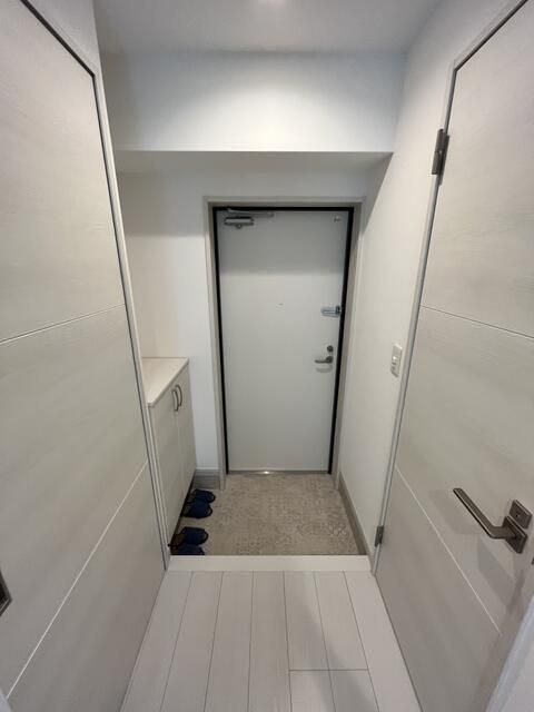 熊本市中央区新大江１丁目の賃貸マンションの玄関
