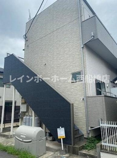 パールスターシャニン