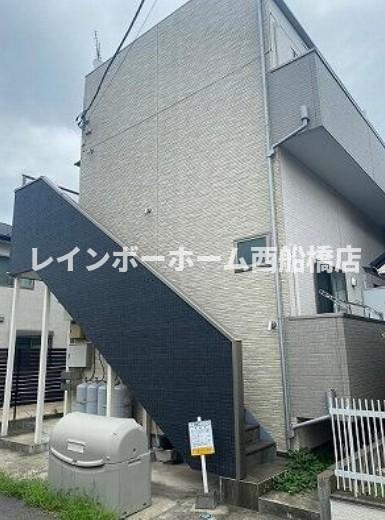 パールスターシャニン