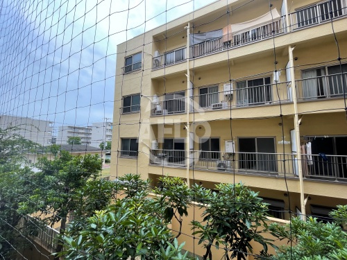 恒信ハイツ　大領小学校の外観|恒信ハイツ　外観