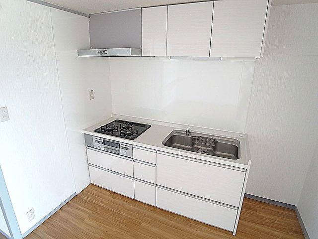 神戸市兵庫区菊水町１０丁目の賃貸マンションのキッチン|システムキッチン、3口ガスコンログリル付き