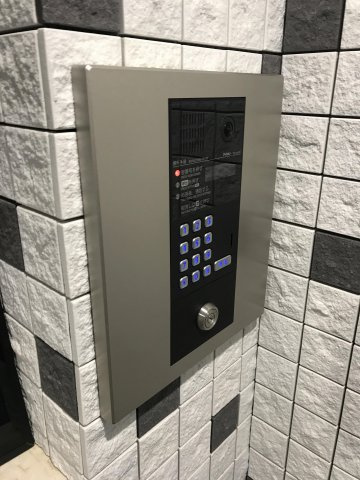 レッドウィングのその他