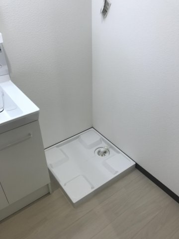 レッドウィングのその他