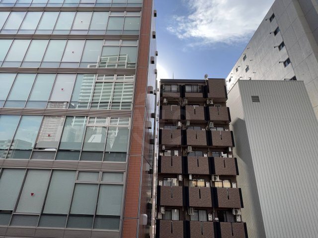 エスパシオ・コモド大阪新町　堀江小学校の展望|エスパシオ・コモド大阪新町　眺望
