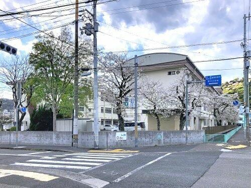 サーパス桟橋通二丁目（６０５）の周辺|高知市立潮江小学校まで294m 