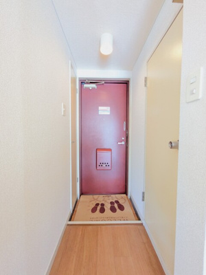 南側の洋室にある収納