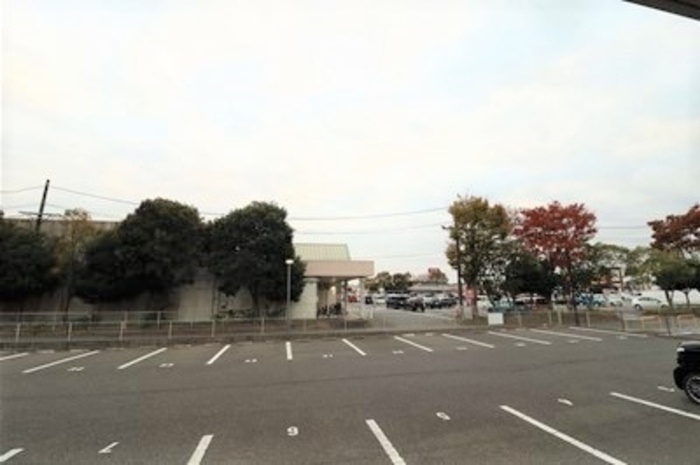 メルシー　Aの展望