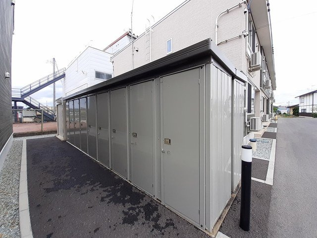 マスカット　ベリー　Ａのその他