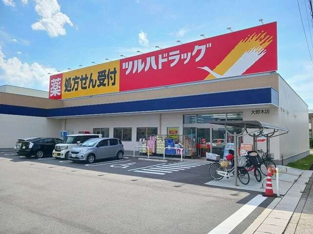 メゾンリヴィエールＡの周辺|ツルハドラッグまで300m
