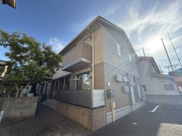 ピーチヒロハタの外観