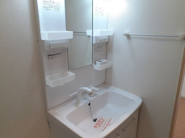 ザ　ネクストステージ　パートⅢの洗面所