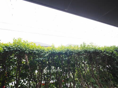 AXIS桑野Ⅲ B棟の展望