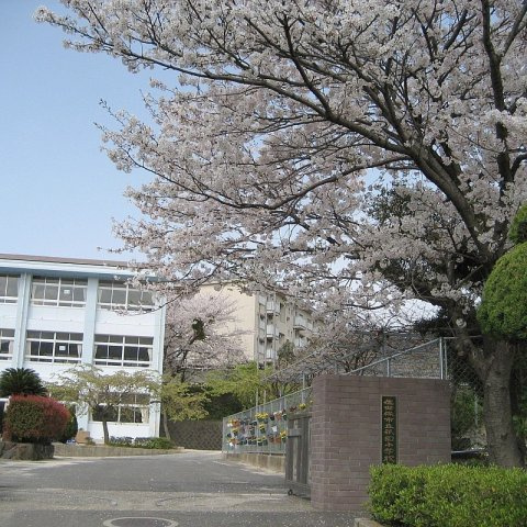 高天町RC造戸建の周辺|祇園小学校