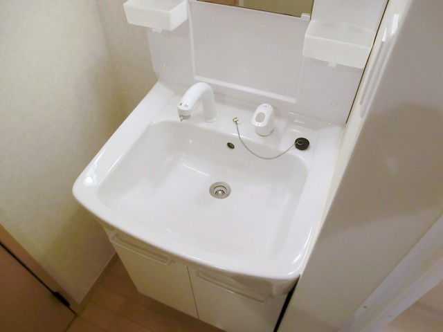 Ｂｅｌｉｅｖｅ  Ｈｏｕｓｅの洗面所|独立洗面台です。