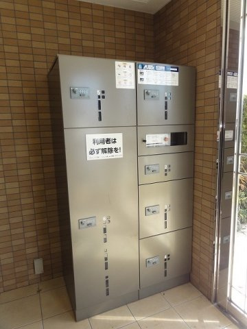 プラシード・ボスコのその他