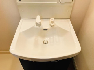 【洗面所】 | プレサス・ガーデン | 大型洗面ボウル