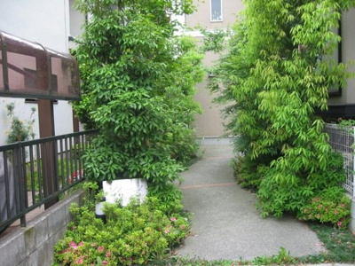 【エントランス】 | ソレーユ南荻窪