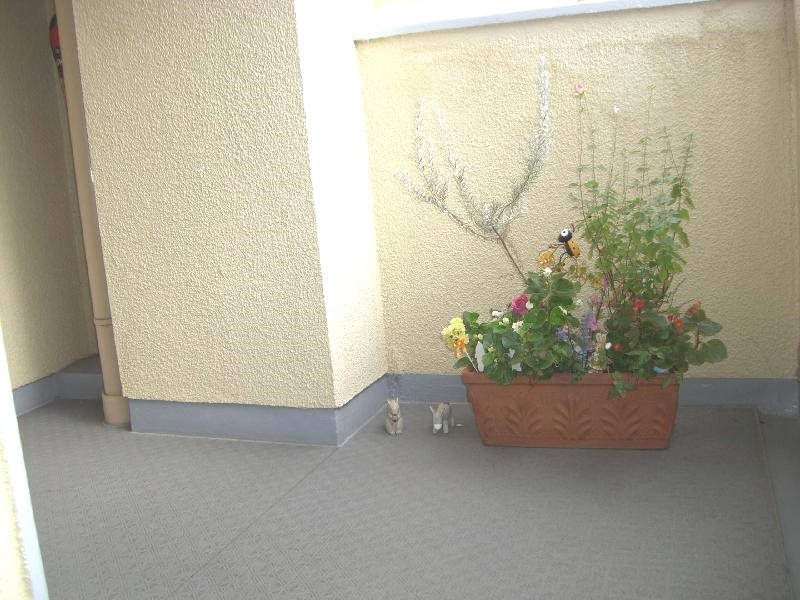 本山ingvillaの外観