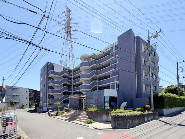 アルブル朝霞