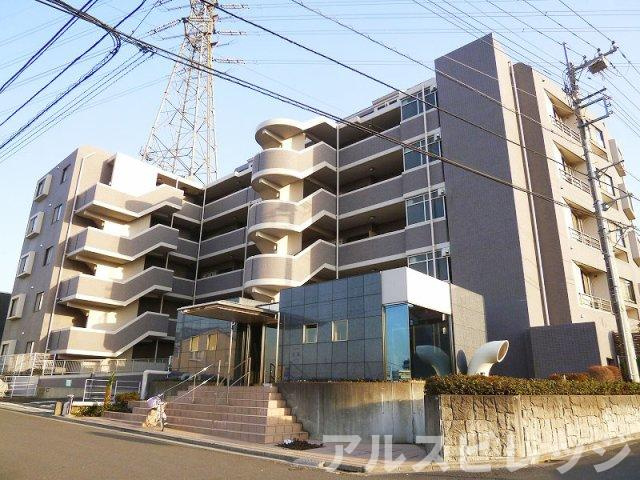 アルブル朝霞