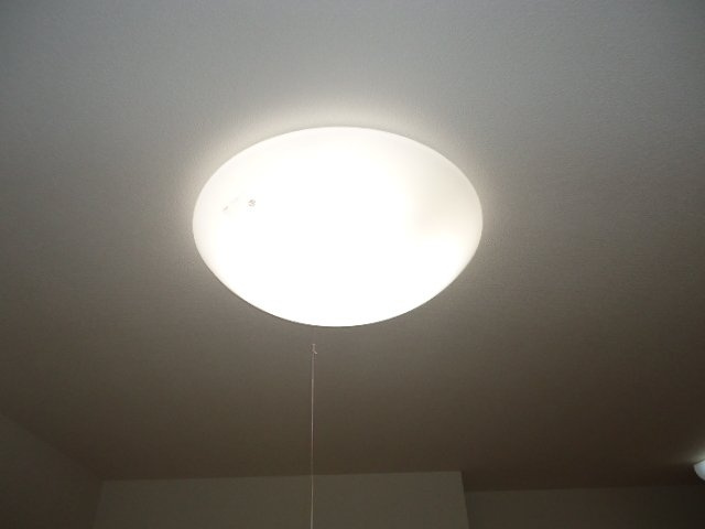 スターテラス　四季の設備|照明器具