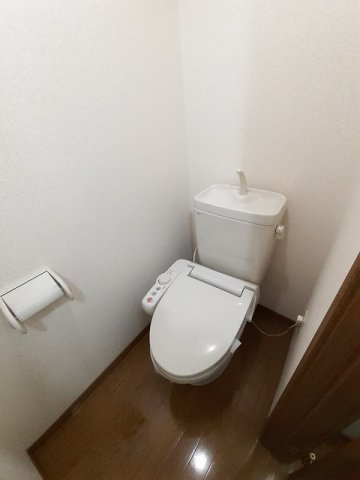 ハーブマンション　武中のトイレ|落ち着いたトイレです