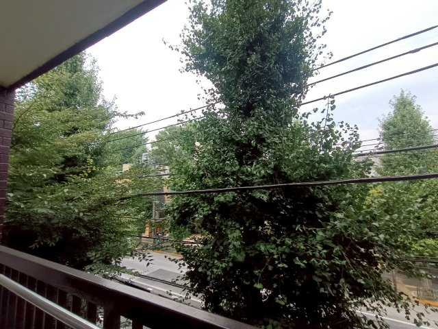 【展望】